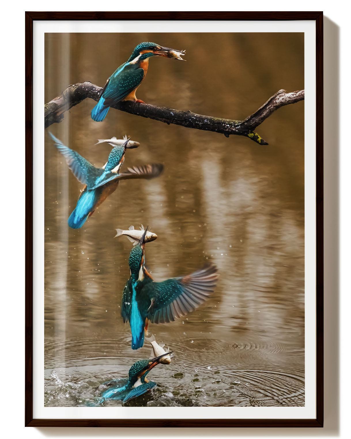Kingfisher No. 2