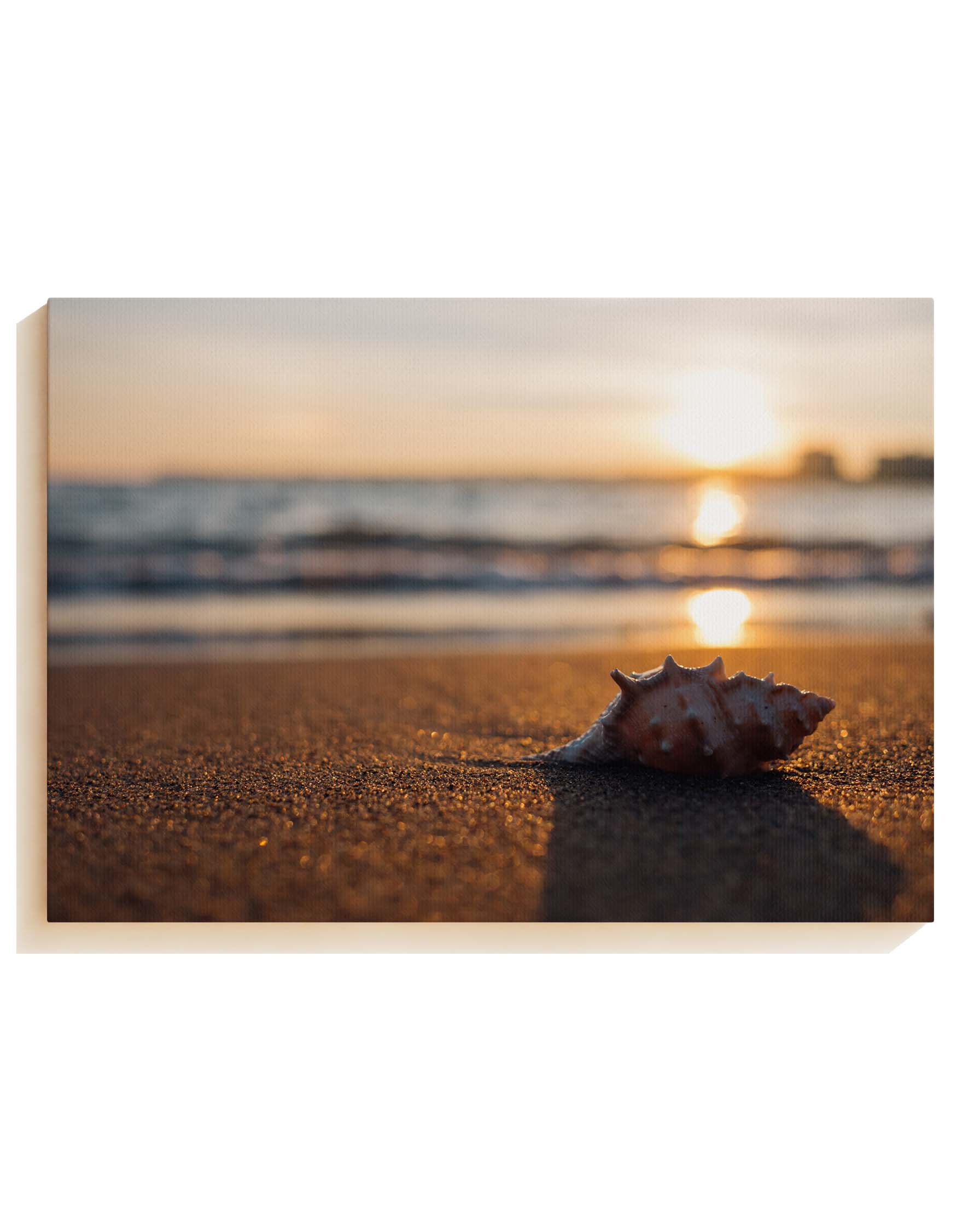 Sunset - Canvas