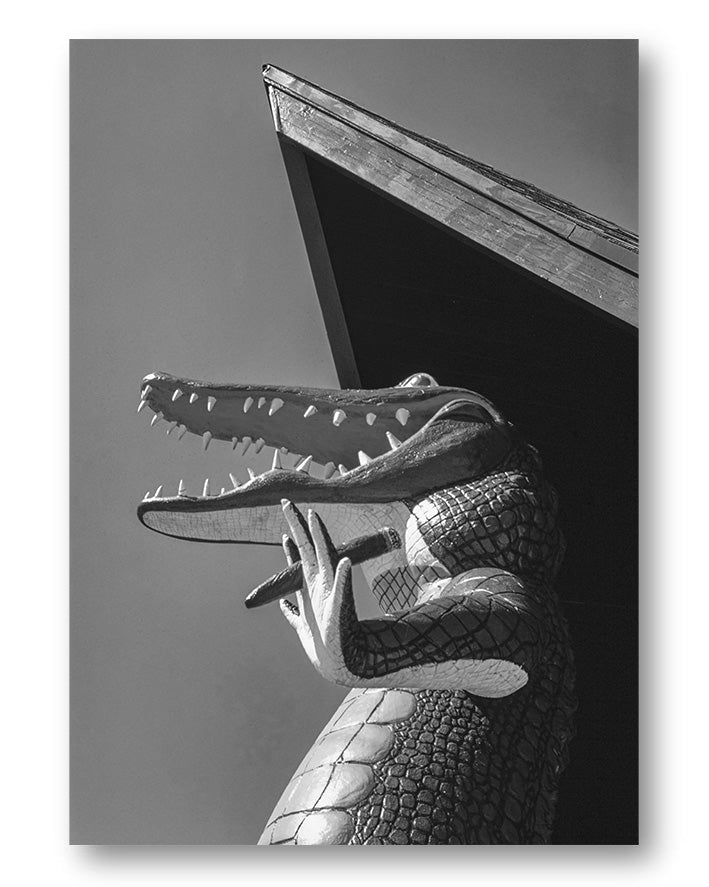 Gatorland zoo florida 1979 Poster – FineArt Wandbild, moderne Kunst & Fine Art Print von Spawnd, handgefertigt & Made in Germany