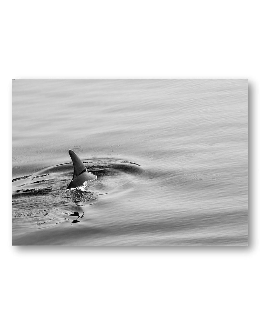 Ocean Poster – Print Material Wandbild, moderne Kunst & Fine Art Print von Spawnd, handgefertigt & Made in Germany