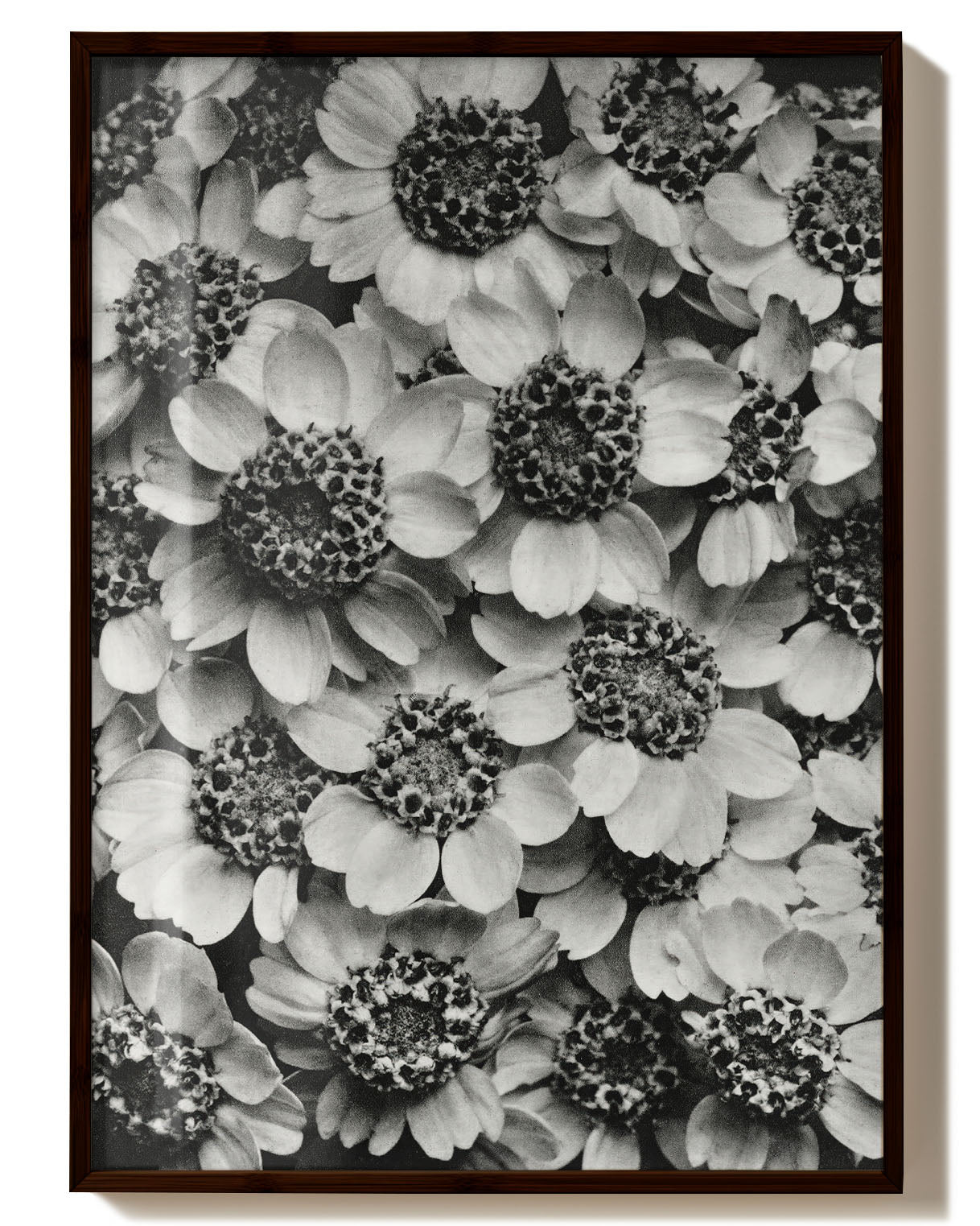 Old Flowers Poster – Print Material Wandbild, moderne Kunst & Fine Art Print von Spawnd, handgefertigt & Made in Germany