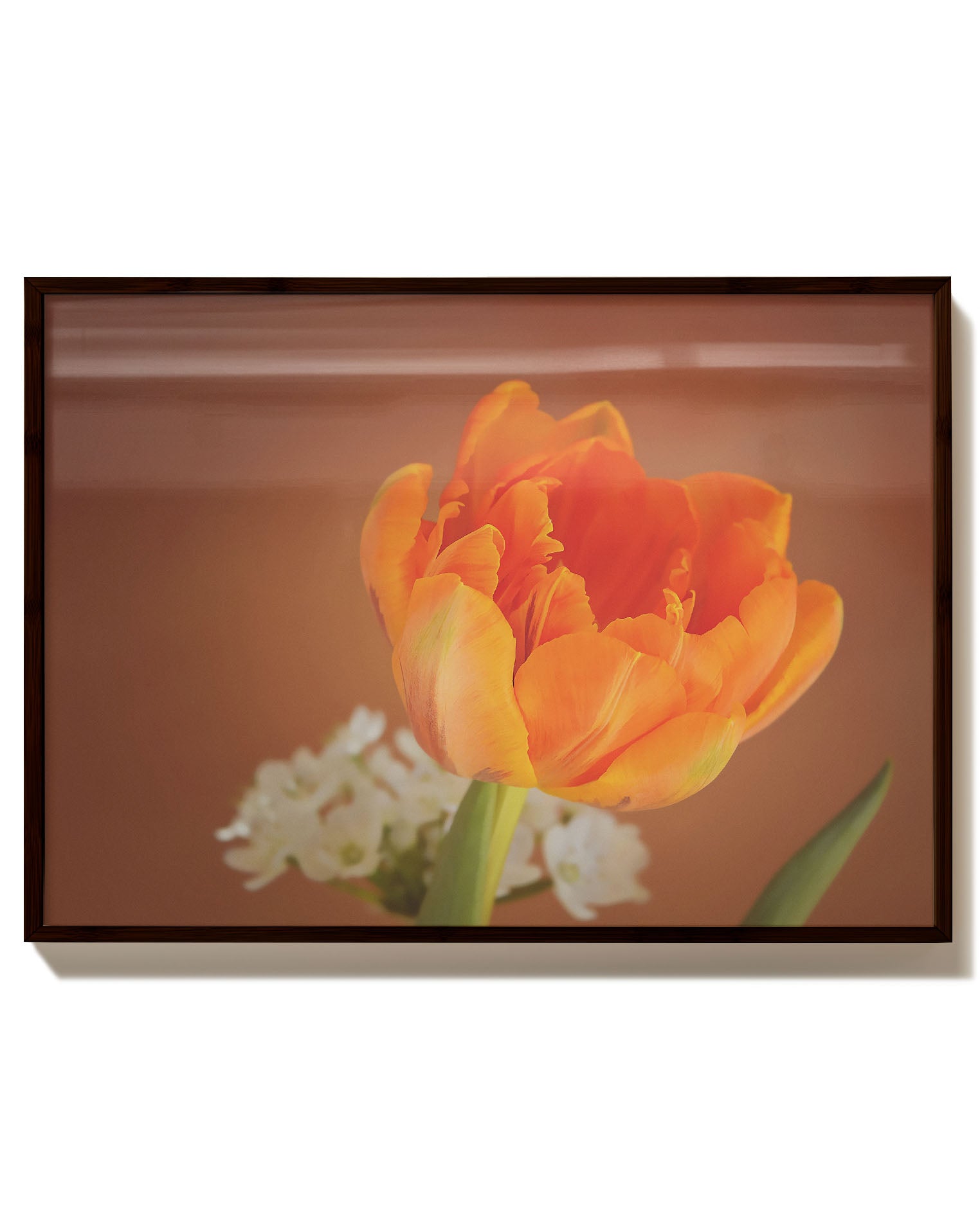 Orange Flower Poster – Print Material Wandbild, moderne Kunst & Fine Art Print von Spawnd, handgefertigt & Made in Germany