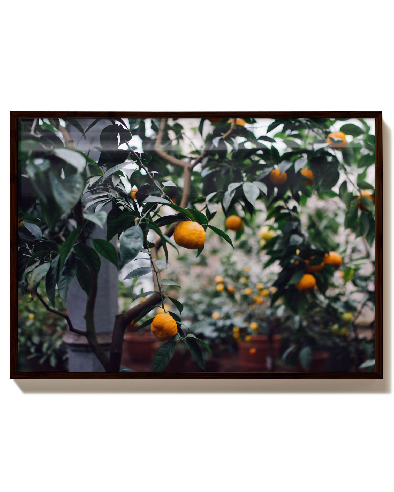 Orange Tree Poster – Print Material Wandbild, moderne Kunst & Fine Art Print von Spawnd, handgefertigt & Made in Germany