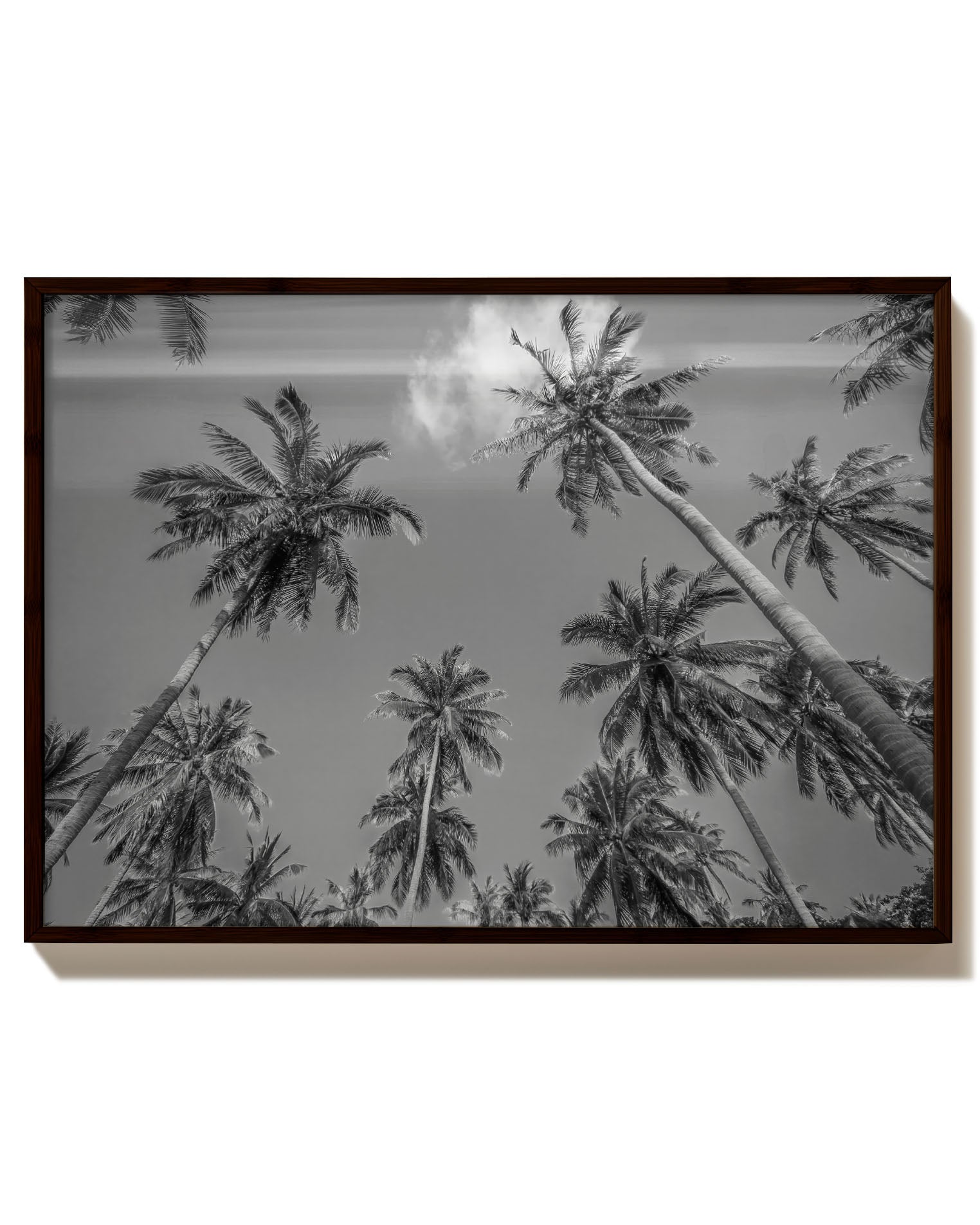 Palmes Poster – Print Material Wandbild, moderne Kunst & Fine Art Print von Spawnd, handgefertigt & Made in Germany