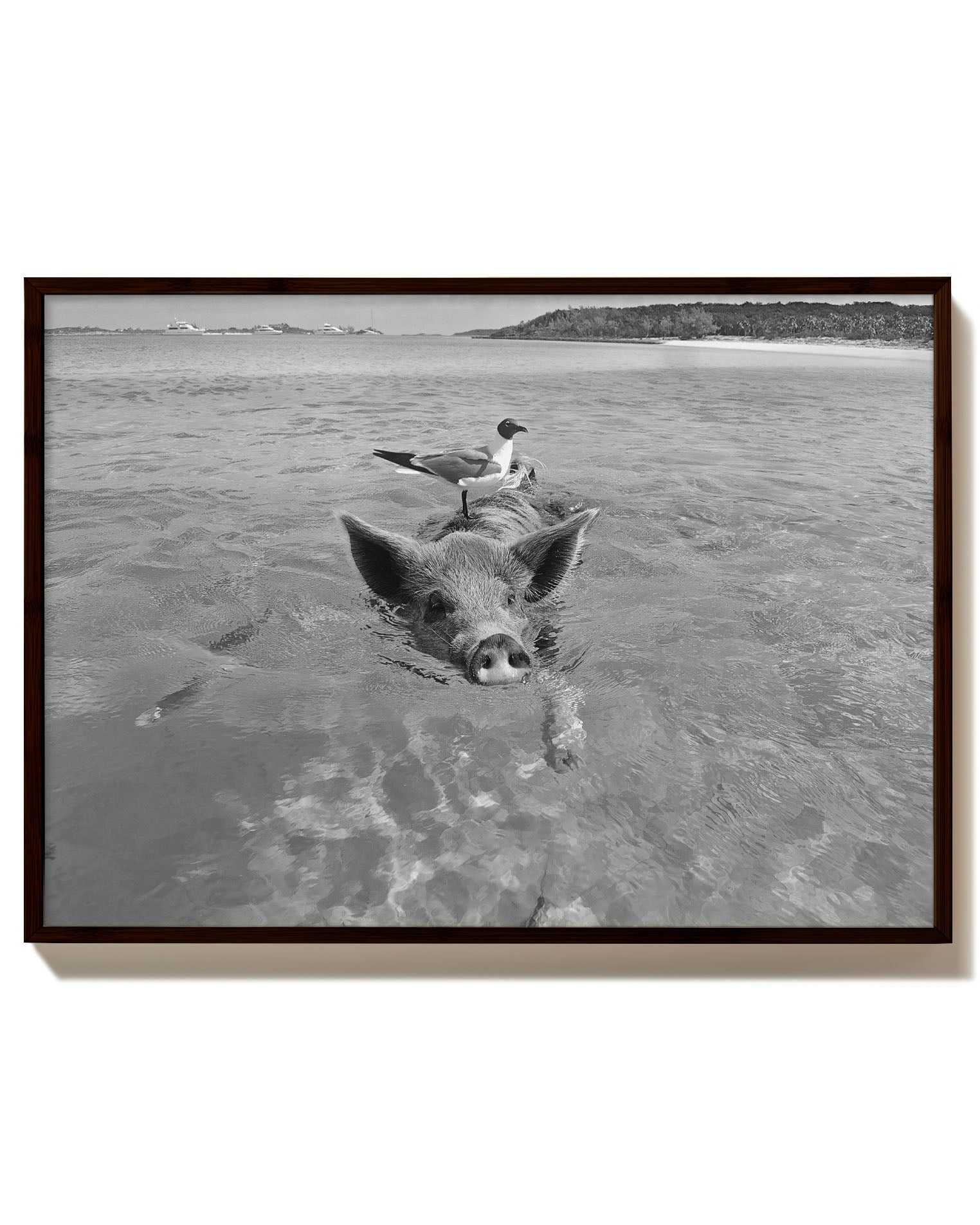 Swimming Poster – Print Material Wandbild, moderne Kunst & Fine Art Print von Spawnd, handgefertigt & Made in Germany