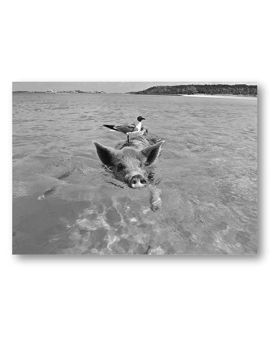 Swimming Poster – Print Material Wandbild, moderne Kunst & Fine Art Print von Spawnd, handgefertigt & Made in Germany