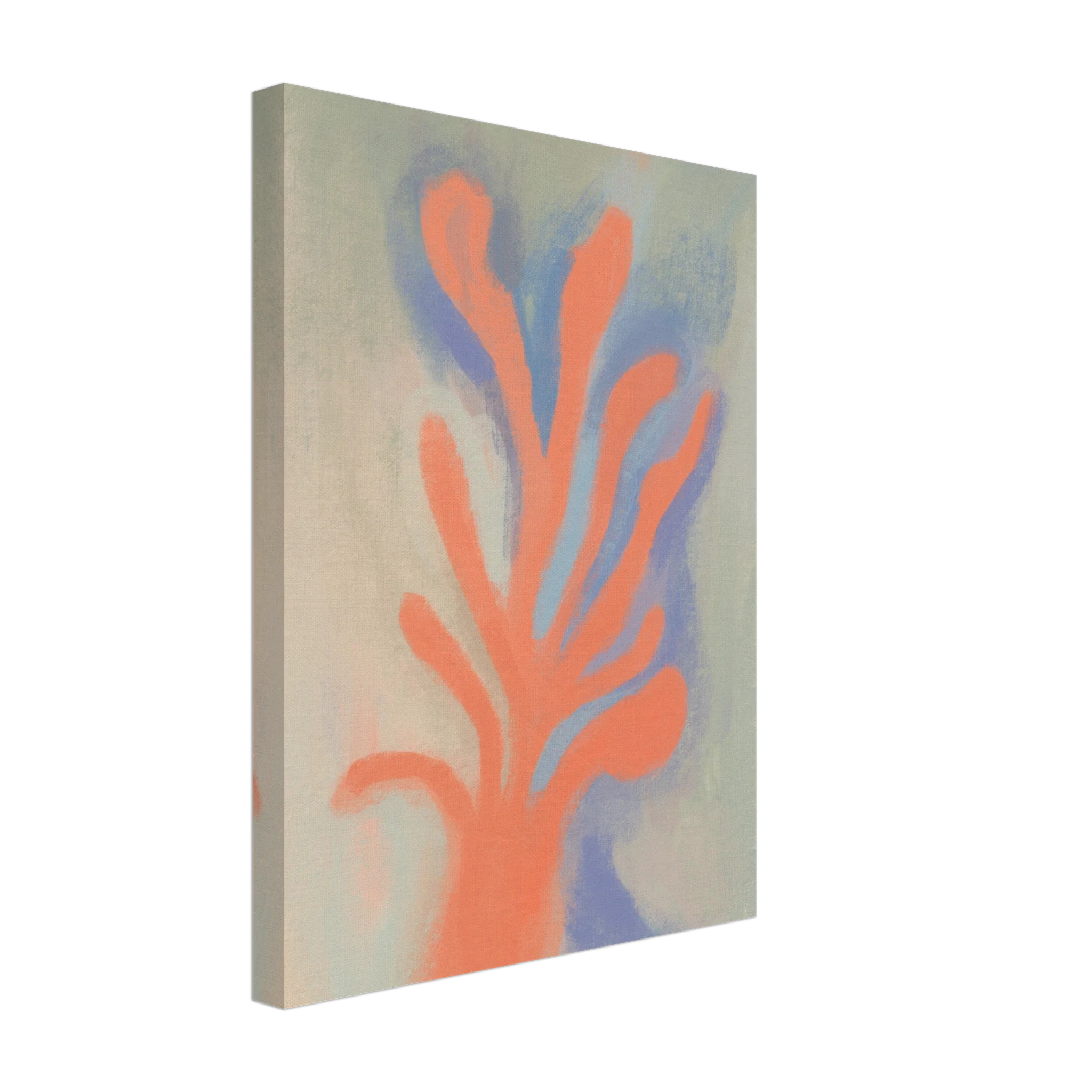 Coral Thought