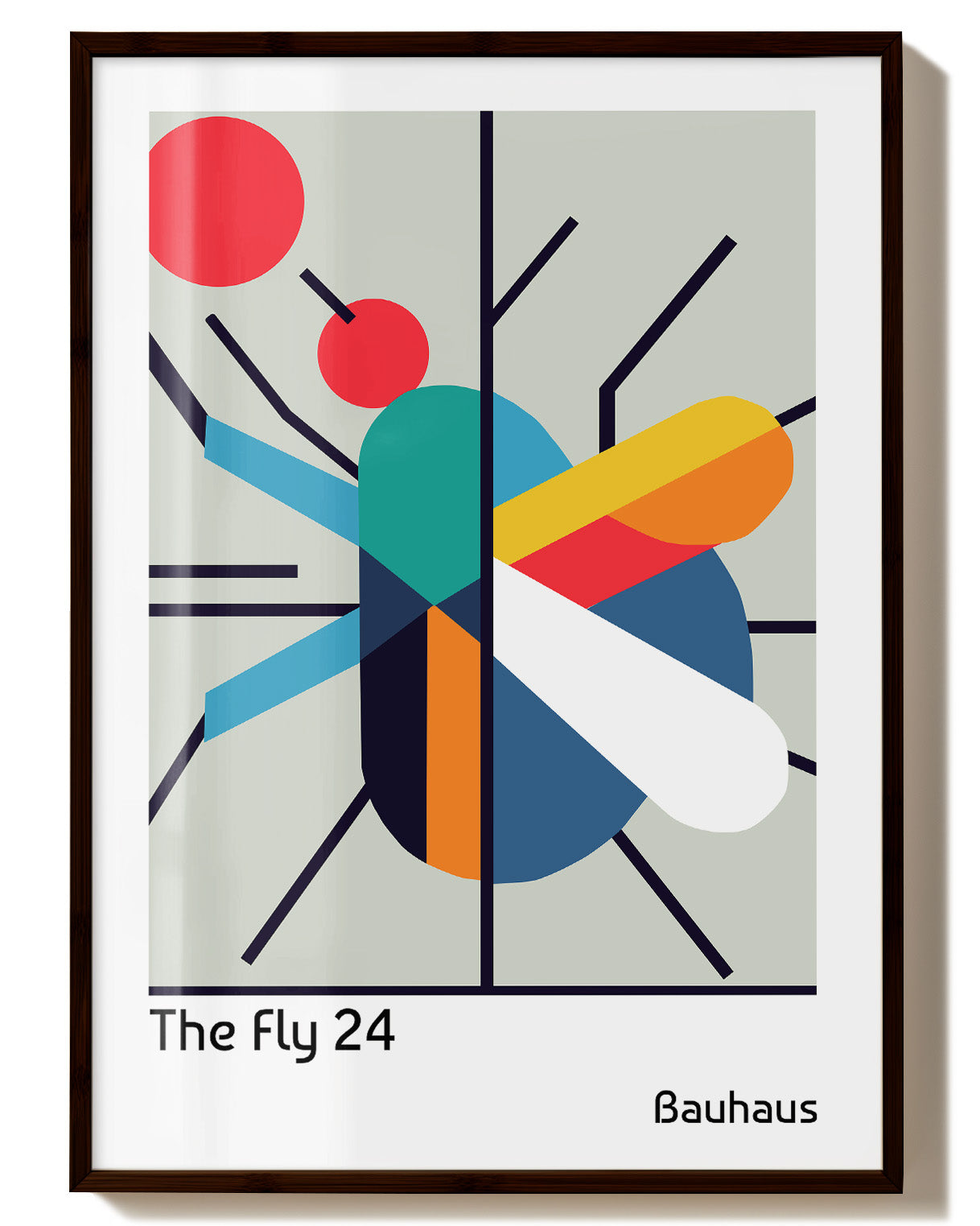 The Fly 24