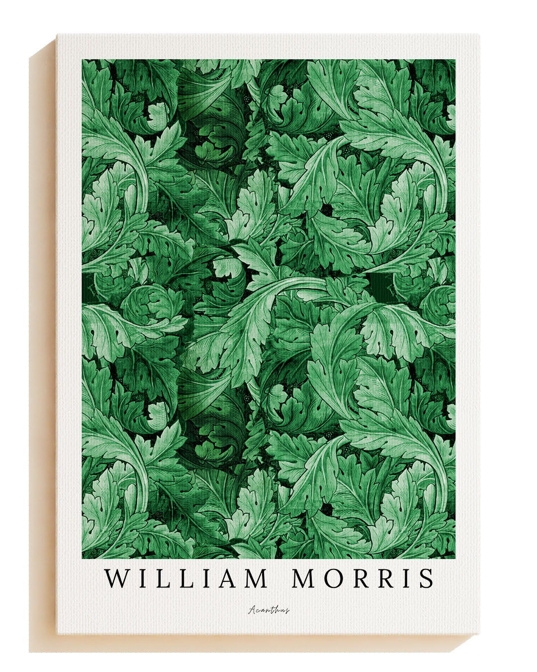 Willow Bough V1 - Canvas