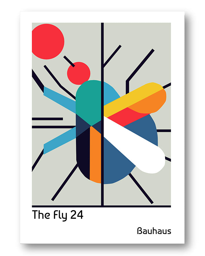 The Fly 24