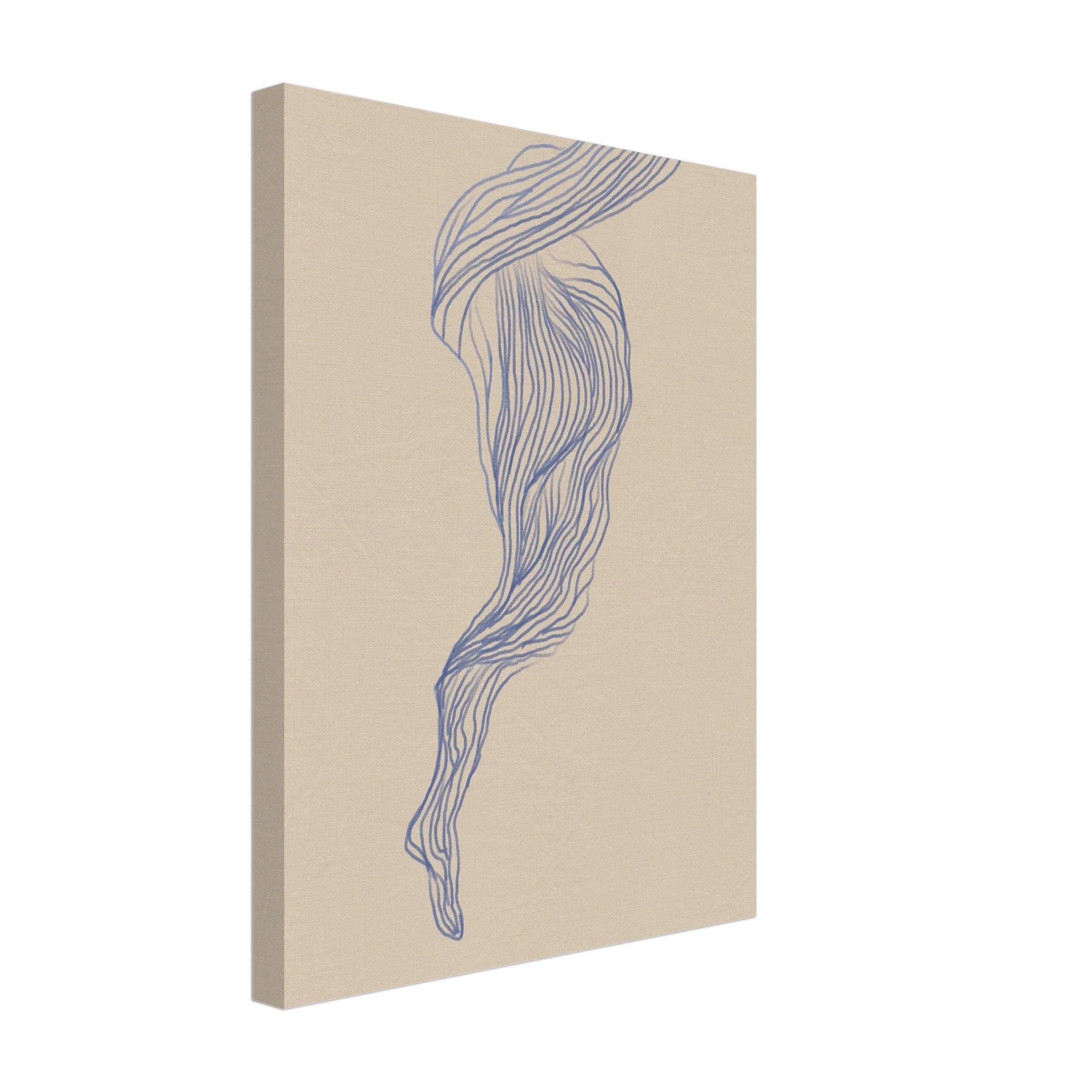 Silk