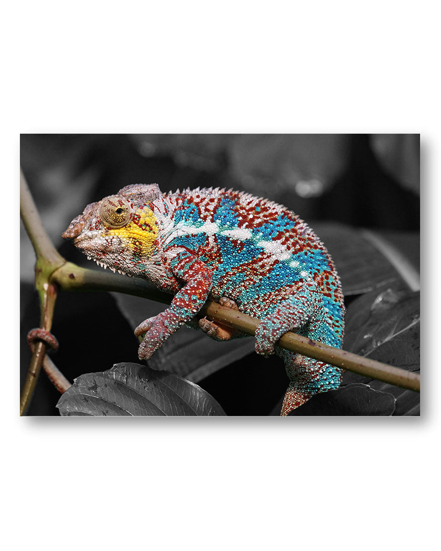 Camouflage Error Poster – Print Material Wandbild, moderne Kunst & Fine Art Print von Spawnd, handgefertigt & Made in Germany