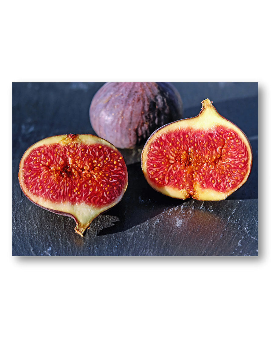 Feigen Poster – Print Material Wandbild, moderne Kunst & Fine Art Print von Spawnd, handgefertigt & Made in Germany