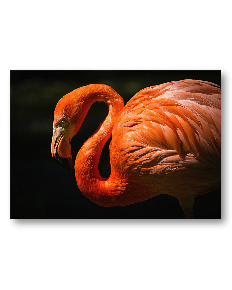 Flamingo Dream Poster – Print Material Wandbild, moderne Kunst & Fine Art Print von Spawnd, handgefertigt & Made in Germany