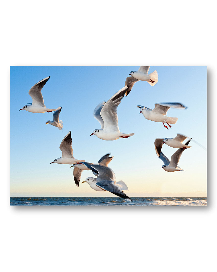 Flying Poster – Print Material Wandbild, moderne Kunst & Fine Art Print von Spawnd, handgefertigt & Made in Germany