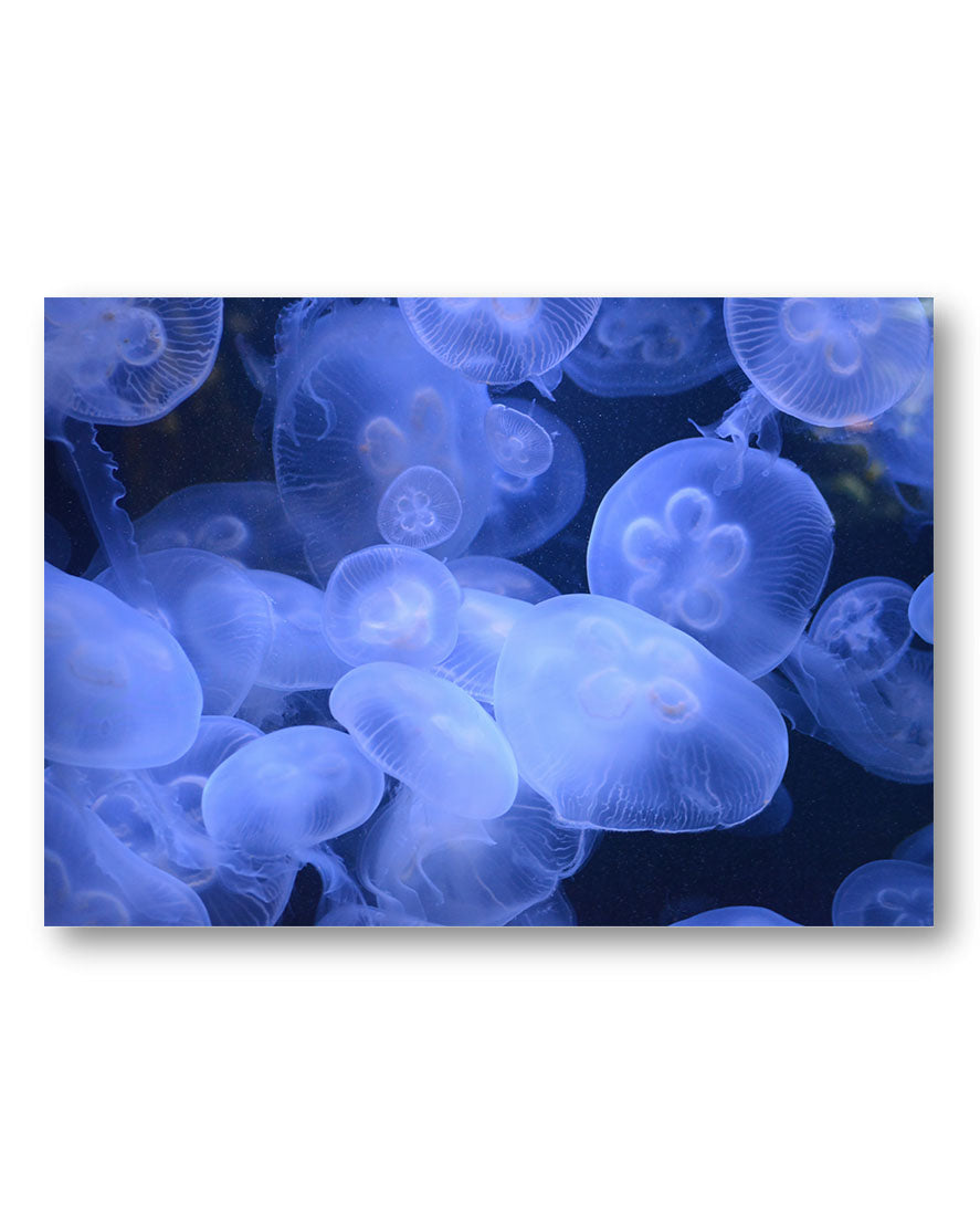 Glowing in the Dark Poster – Print Material Wandbild, moderne Kunst & Fine Art Print von Spawnd, handgefertigt & Made in Germany