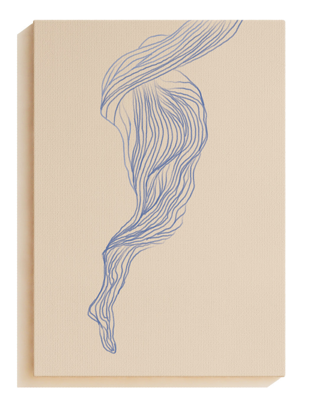 Silk - Canvas