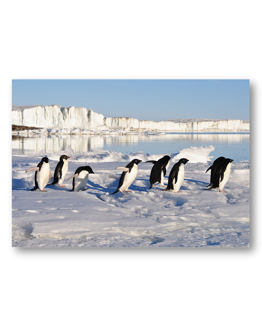 Ice Poster – Print Material Wandbild, moderne Kunst & Fine Art Print von Spawnd, handgefertigt & Made in Germany