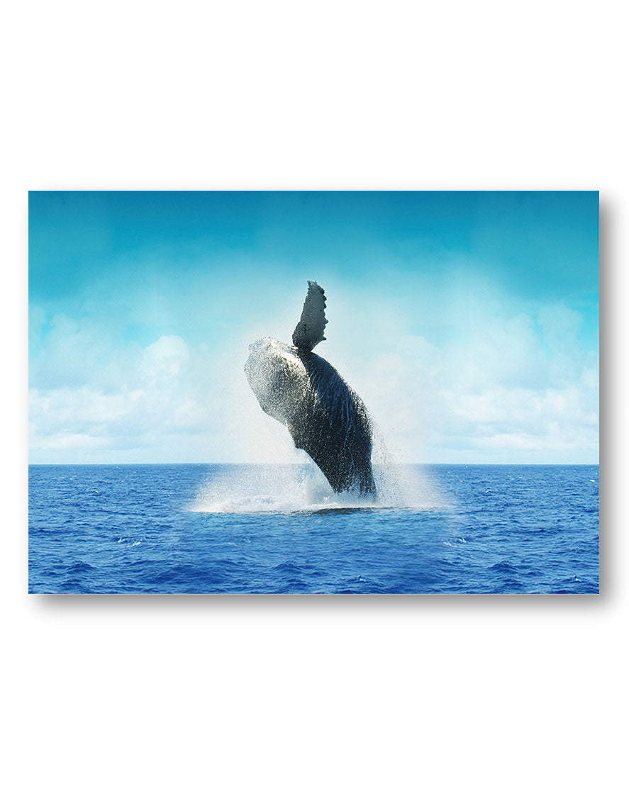 Jumping Poster – Print Material Wandbild, moderne Kunst & Fine Art Print von Spawnd, handgefertigt & Made in Germany