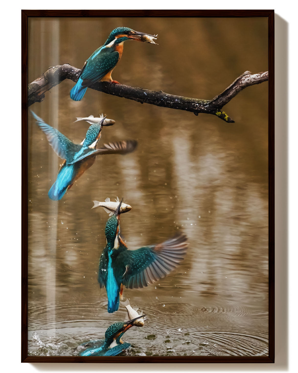 Kingfisher No.2 Poster – Print Material Wandbild, moderne Kunst & Fine Art Print von Spawnd, handgefertigt & Made in Germany