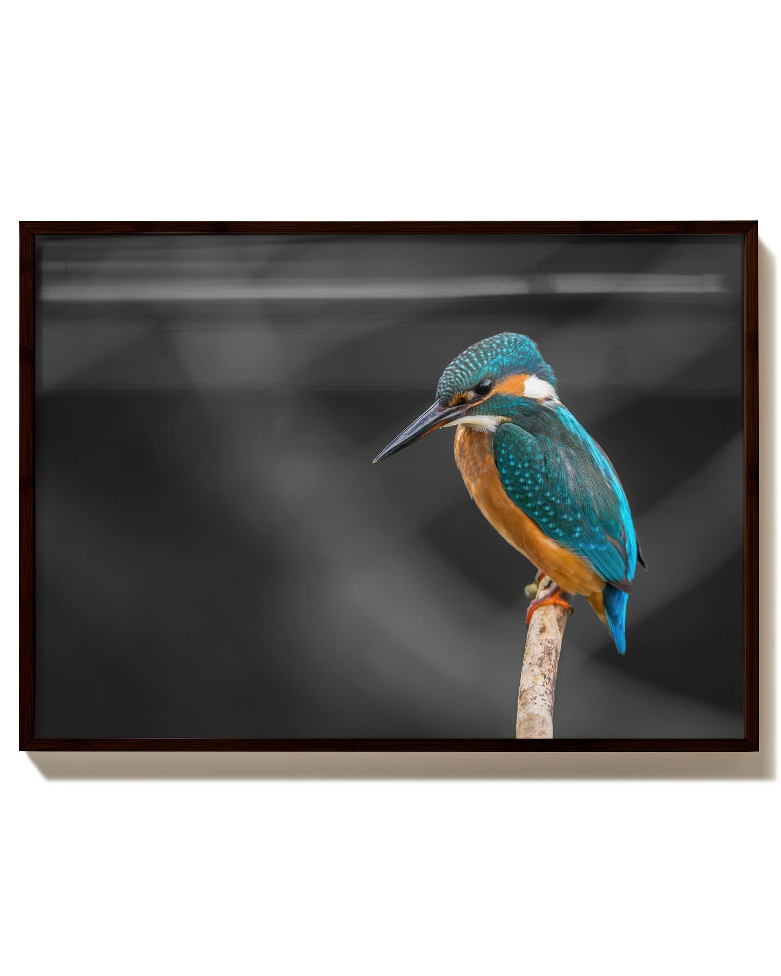 Kingfisher Poster – Print Material Wandbild, moderne Kunst & Fine Art Print von Spawnd, handgefertigt & Made in Germany