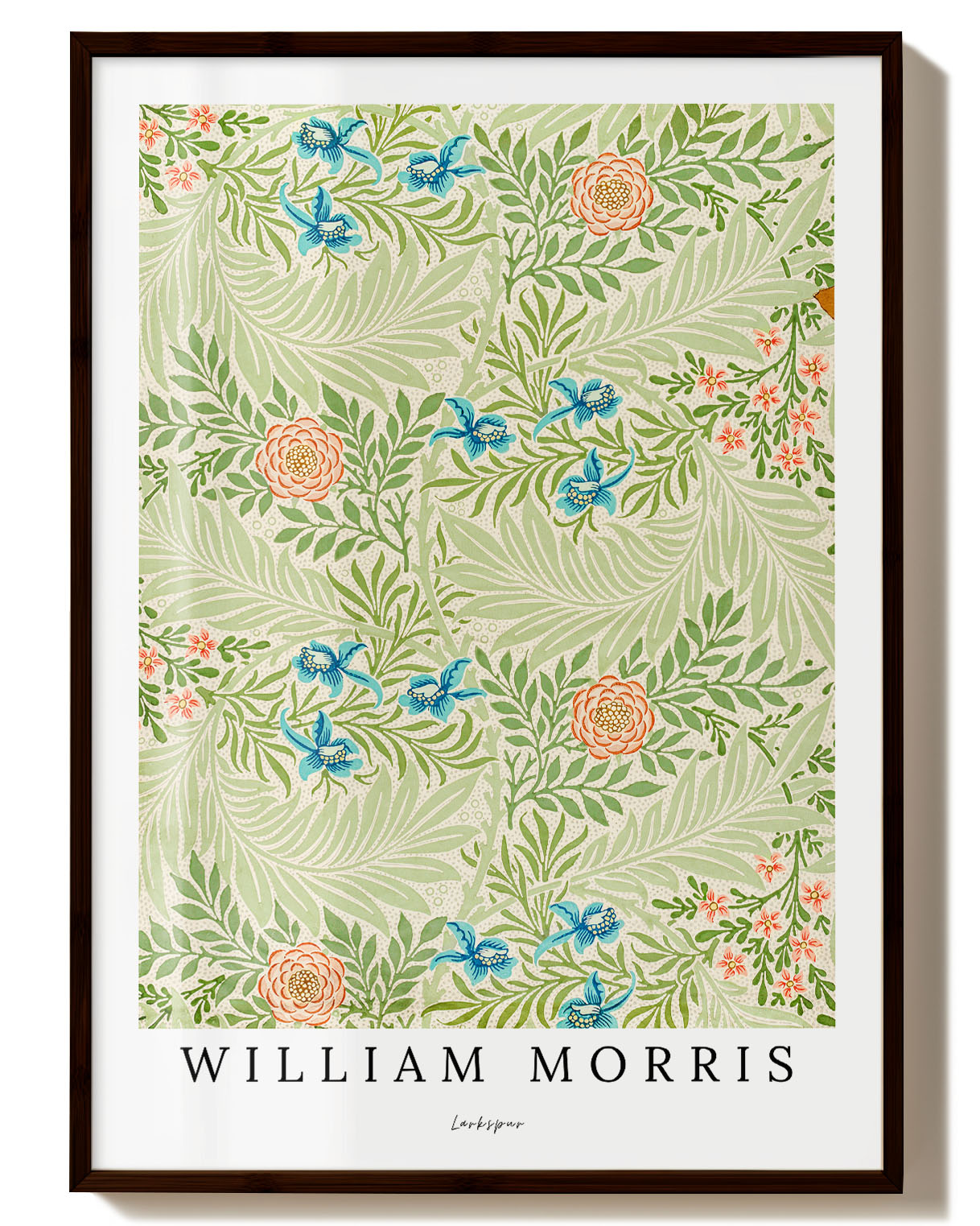 Larkspur Poster – Print Material Wandbild, moderne Kunst & Fine Art Print von Spawnd, handgefertigt & Made in Germany