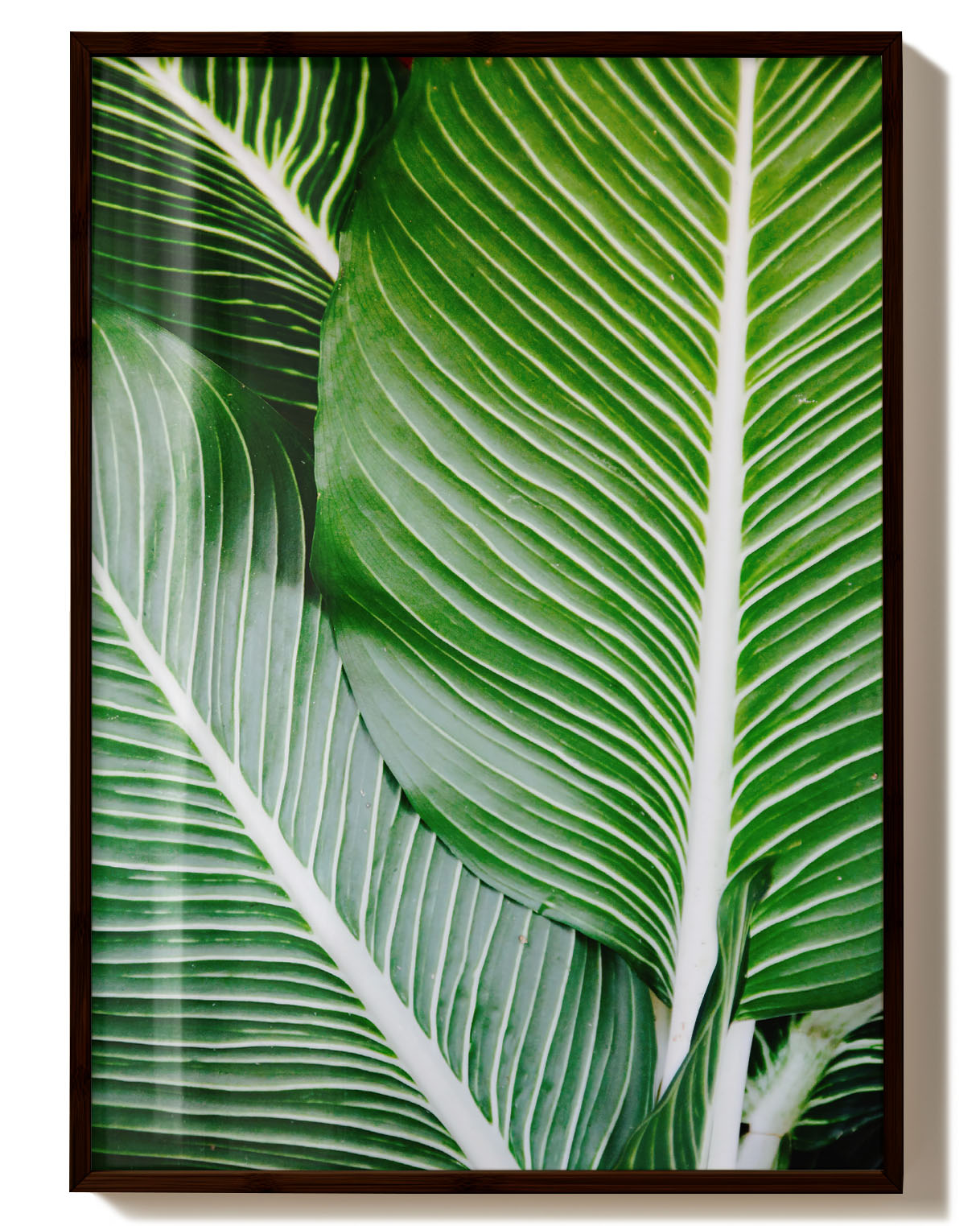 Leafe Poster – Print Material Wandbild, moderne Kunst & Fine Art Print von Spawnd, handgefertigt & Made in Germany