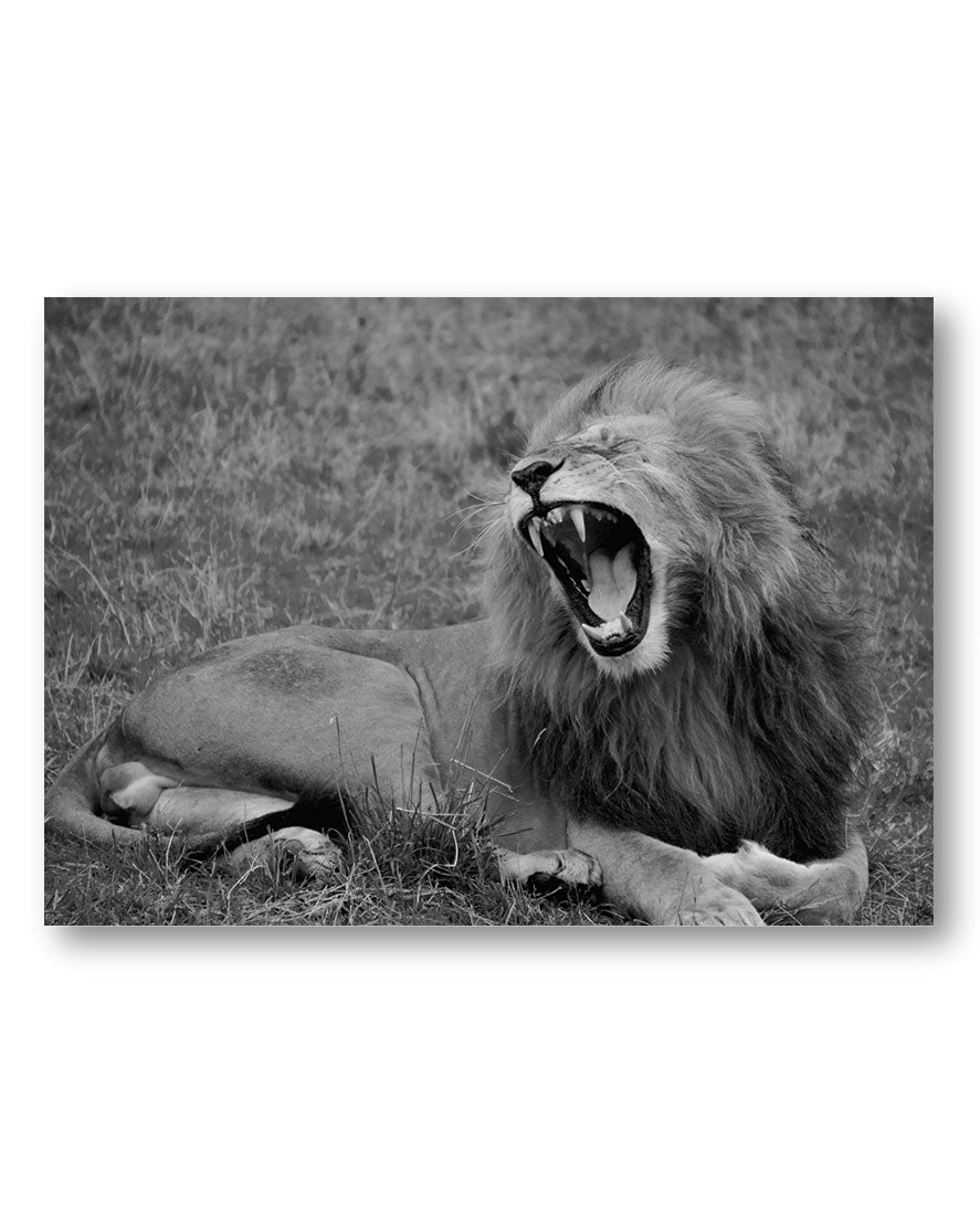 Lion Poster – Print Material Wandbild, moderne Kunst & Fine Art Print von Spawnd, handgefertigt & Made in Germany