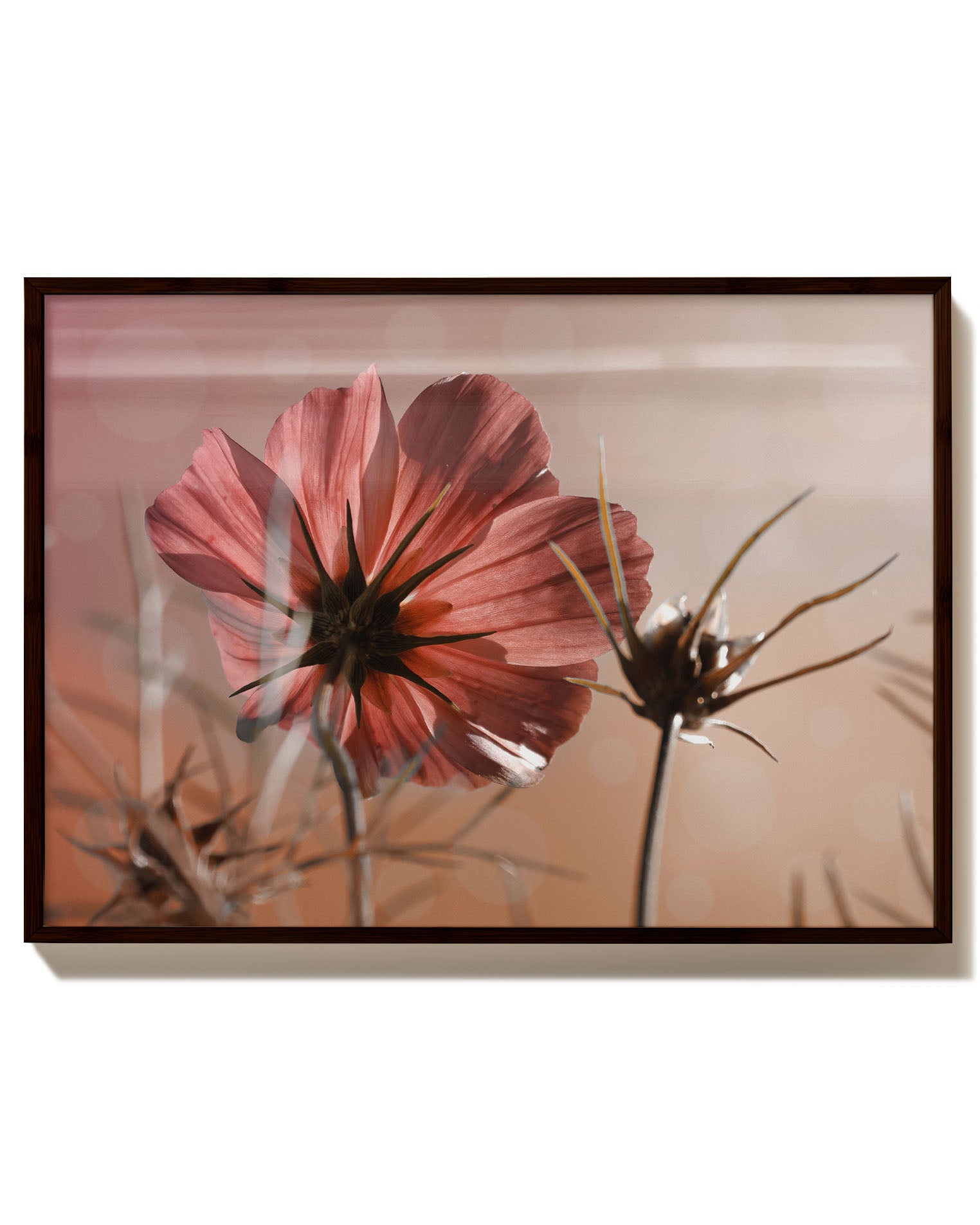 Lonely Flower Poster – Print Material Wandbild, moderne Kunst & Fine Art Print von Spawnd, handgefertigt & Made in Germany