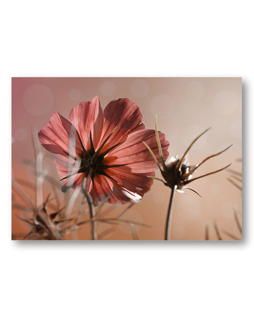 Lonely Flower Poster – Print Material Wandbild, moderne Kunst & Fine Art Print von Spawnd, handgefertigt & Made in Germany
