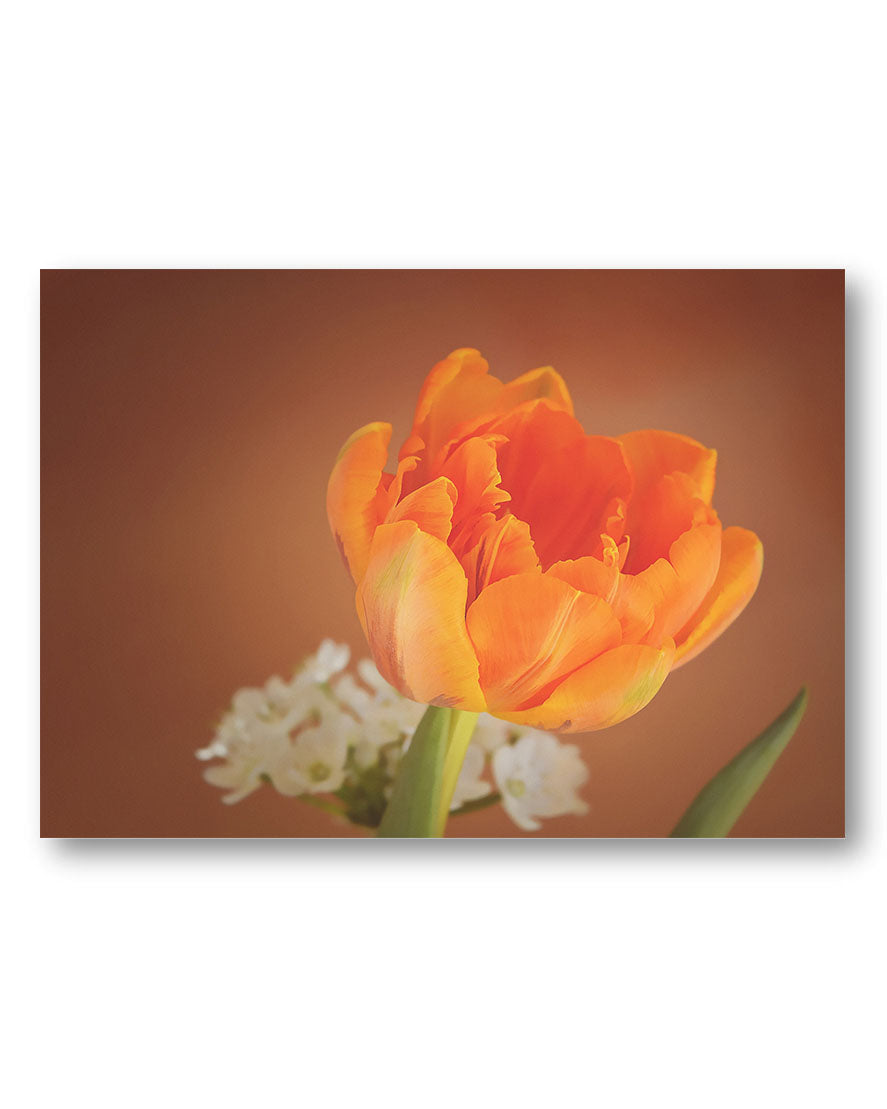 Orange Flower Poster – Print Material Wandbild, moderne Kunst & Fine Art Print von Spawnd, handgefertigt & Made in Germany