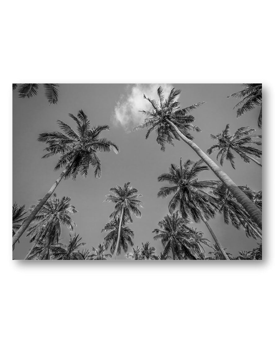 Palmes Poster – Print Material Wandbild, moderne Kunst & Fine Art Print von Spawnd, handgefertigt & Made in Germany