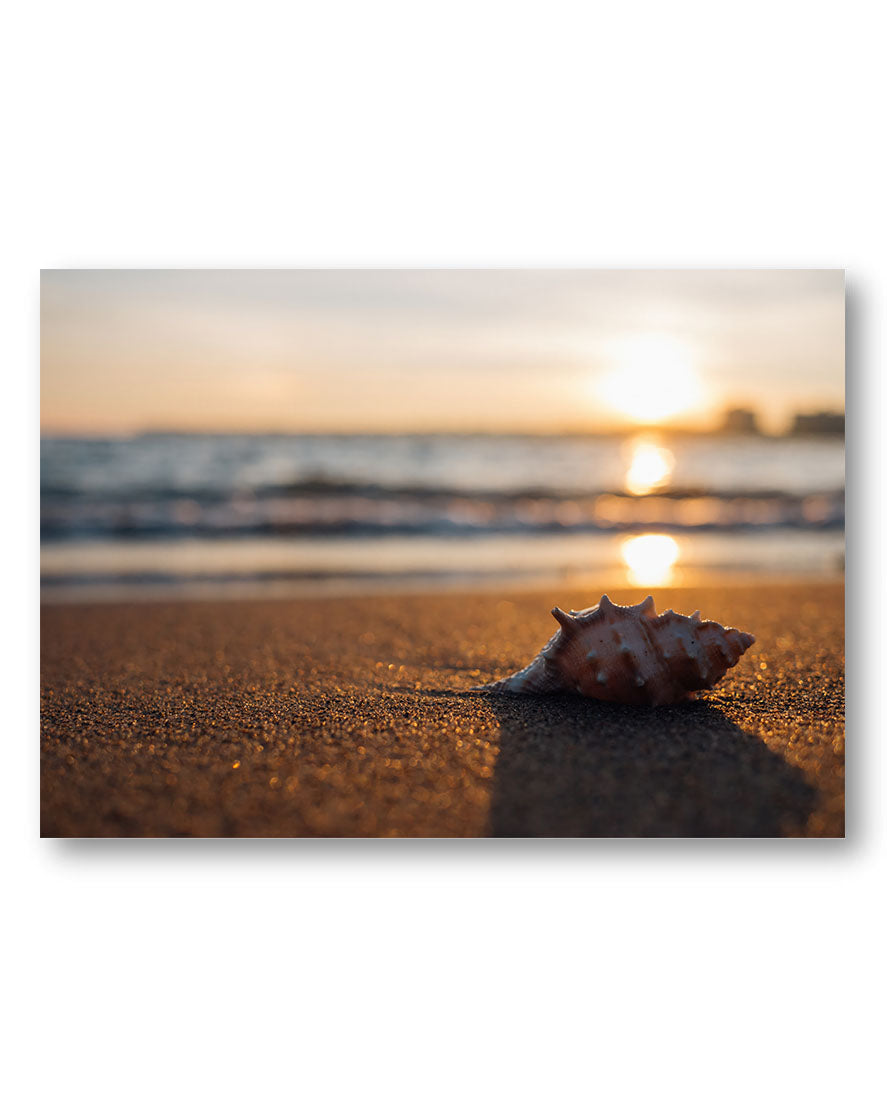 Sunset Poster – Print Material Wandbild, moderne Kunst & Fine Art Print von Spawnd, handgefertigt & Made in Germany