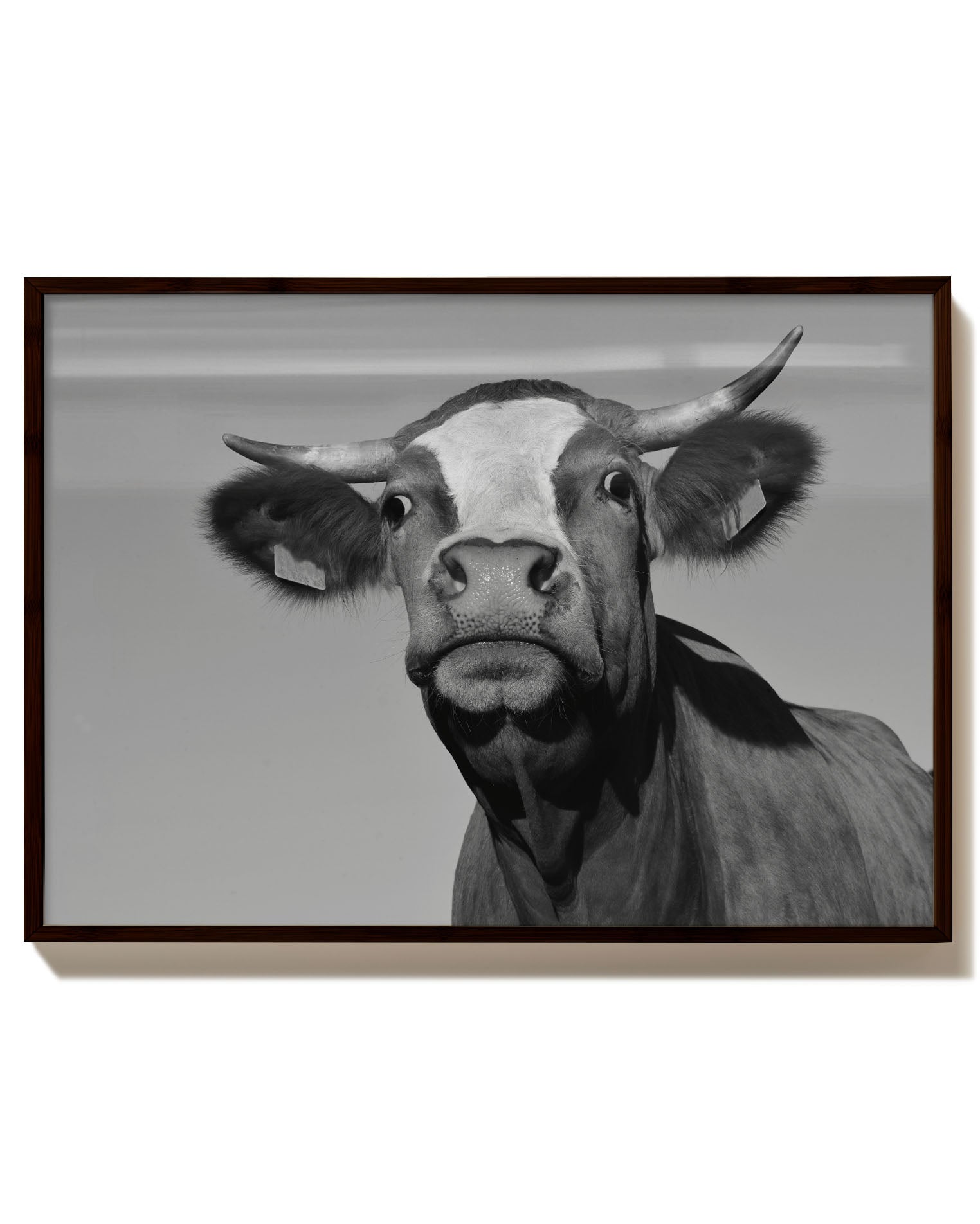 What do you Want? Poster – Print Material Wandbild, moderne Kunst & Fine Art Print von Spawnd, handgefertigt & Made in Germany