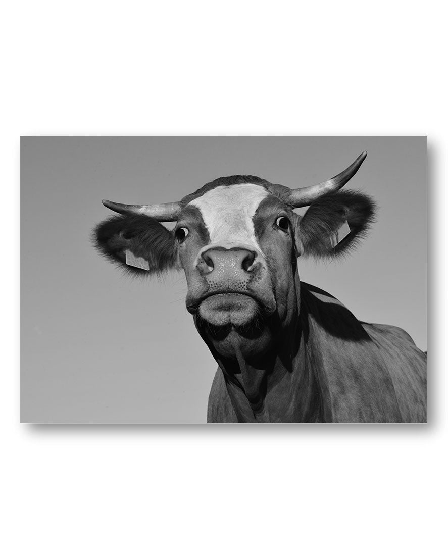 What do you Want? Poster – Print Material Wandbild, moderne Kunst & Fine Art Print von Spawnd, handgefertigt & Made in Germany