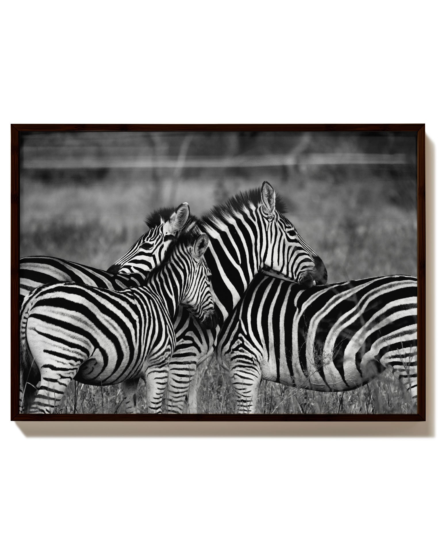 Zebra Poster – Print Material Wandbild, moderne Kunst & Fine Art Print von Spawnd, handgefertigt & Made in Germany